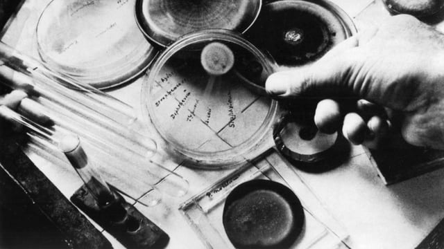  Vor 75 Jahren: Die erste Penicillin-Therapie