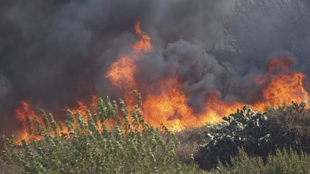  Waldbrände auf Sizilien fordern Todesopfer