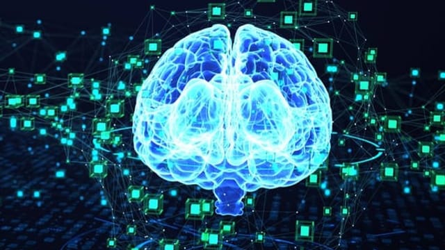  Das Human Brain Project geht zu Ende: Was bleibt?
