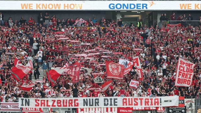  Austria gegen RB Salzburg: Das Treffen mit den «Totengräbern»