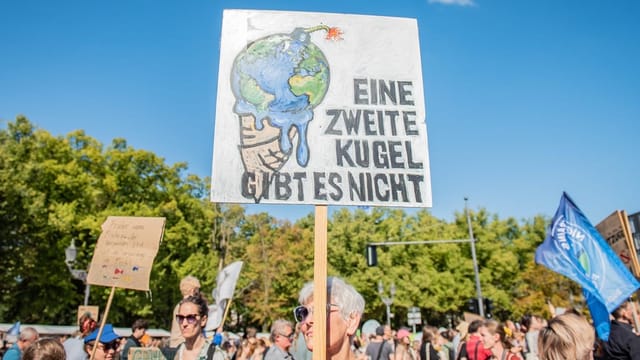  «Der Klimastreik ist nur noch eine von vielen Aktionsformen»