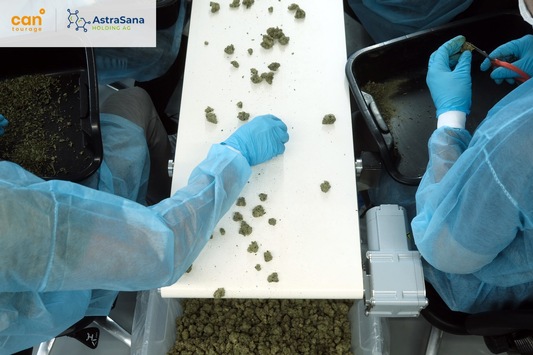  Cantourage Group SE bringt mit Astrasana in der Schweiz ein Sortiment an medizinischen Cannabisblüten auf den Markt