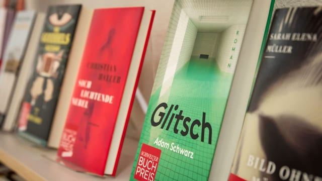  Wem würden Sie den Schweizer Buchpreis verleihen?