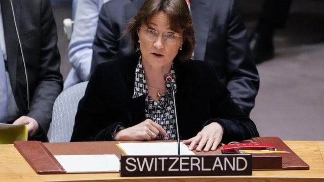  Baeriswyl: «Der UNO-Sicherheitsrat ist kein gemütlicher Ort»
