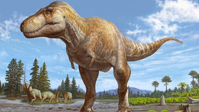  Die grosse Schwester von T-Rex wurde entdeckt
