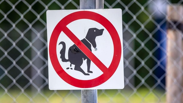  Hundehaufen auf der Strasse: Südtirol schafft DNA-Datenbank