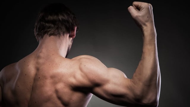  Fitnesstraining im Vergleich: Was lässt Muskeln wachsen?