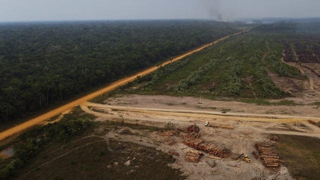  Regenwaldabholzung im brasilianischen Amazonas geht weiter zurück