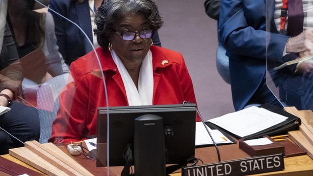  UNO-Sicherheitsrat fordert Waffenruhe – die wichtigsten Fakten