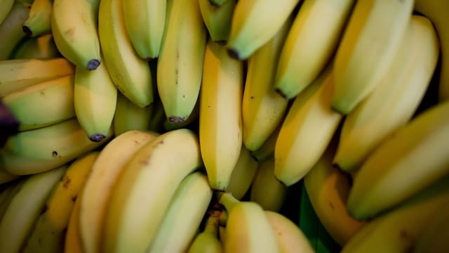  Die Sache mit den genmanipulierten Bananen