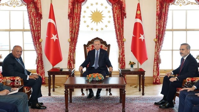  Erdogan will die Türkei als Regionalmacht etablieren