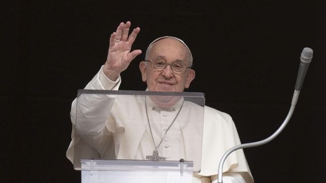  Papst geisselt Abtreibung, Leihmutterschaft und Gender-Theorie