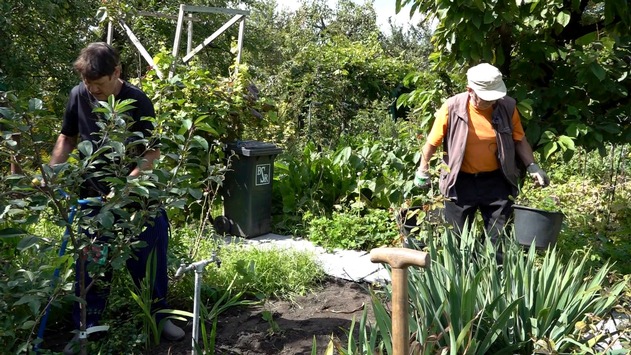  Diese Woche bei “Von Hecke zu Hecke – Bunte Beetgeschichten”: Ernteglück und Gartenfreuden in der “Kleingartenanlage Bornholm”
