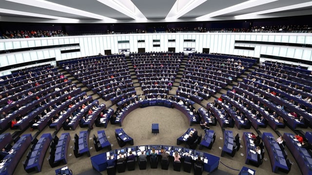  Rechte Parteien vor EU-Wahl: Zerstritten, aber dennoch siegreich?