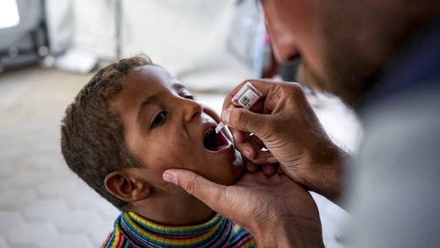  Impfkampagne gegen Polio im Gazastreifen läuft laut WHO gut an