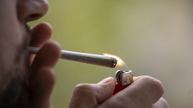  Stadt Zürich sieht Cannabisstudie auf gutem Weg